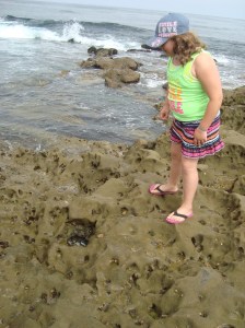Aurora enjoying all the little creatures in the tide pools