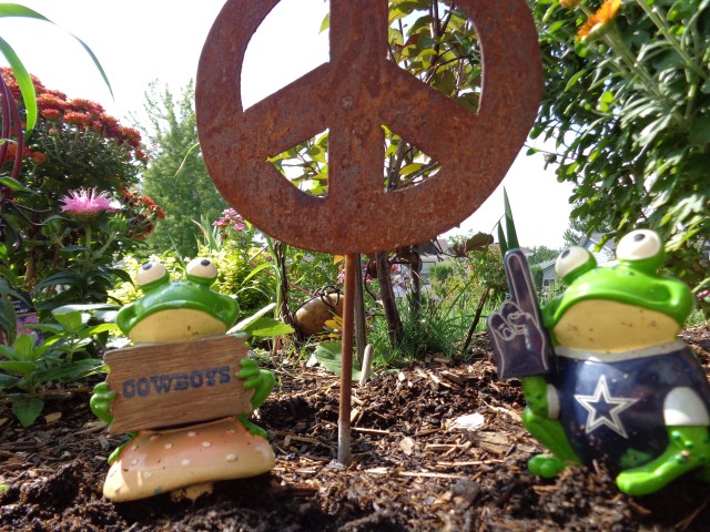 The Dallas Cowboy fans in the garden!